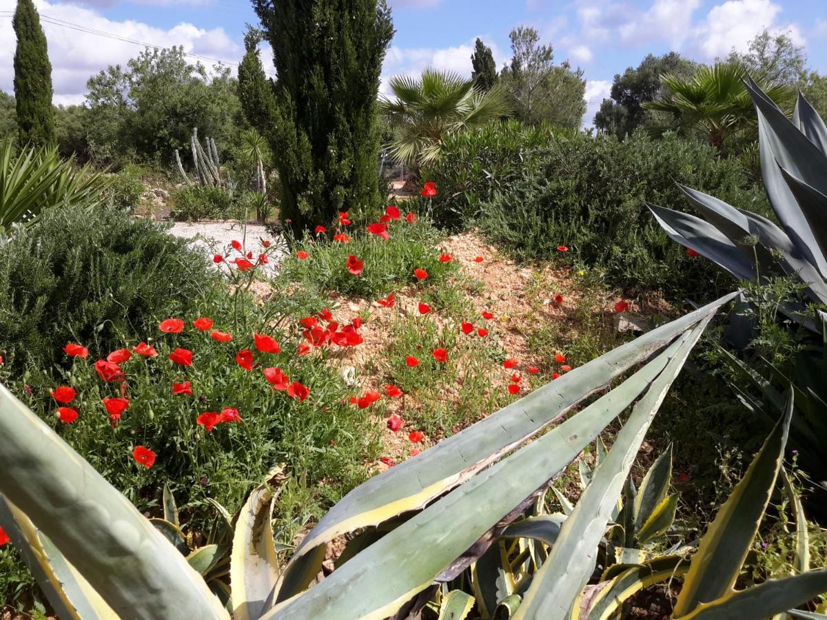 Holiday home Alqueria Fosca