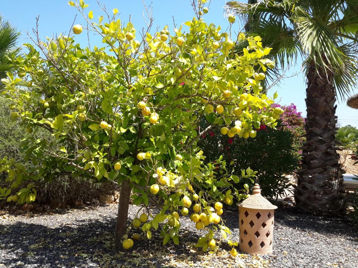 Holiday home Alqueria Fosca Campos (Mallorca)
