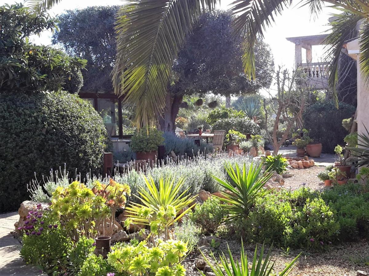 Alqueria Fosca Holiday home