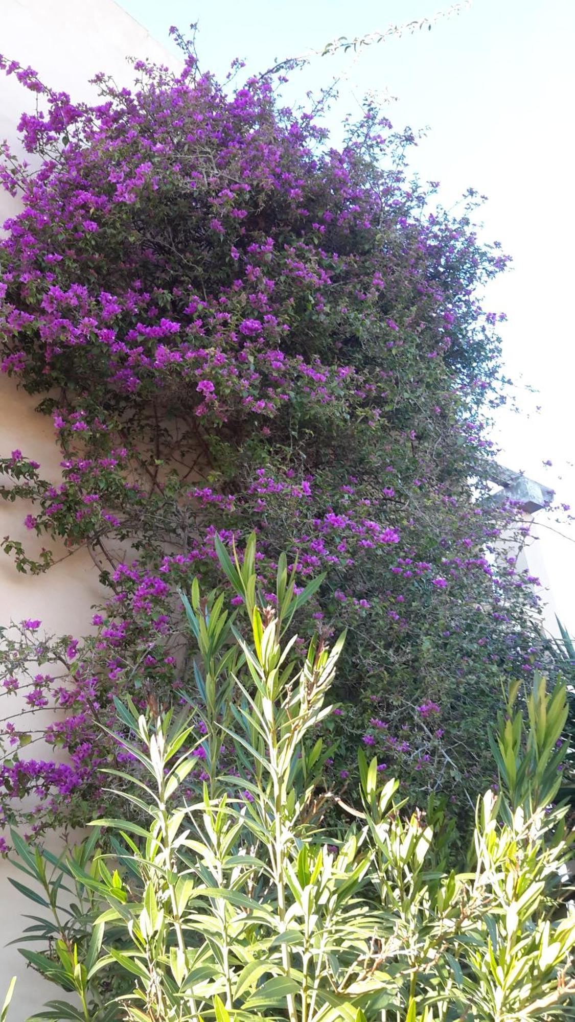 Holiday home Alqueria Fosca *