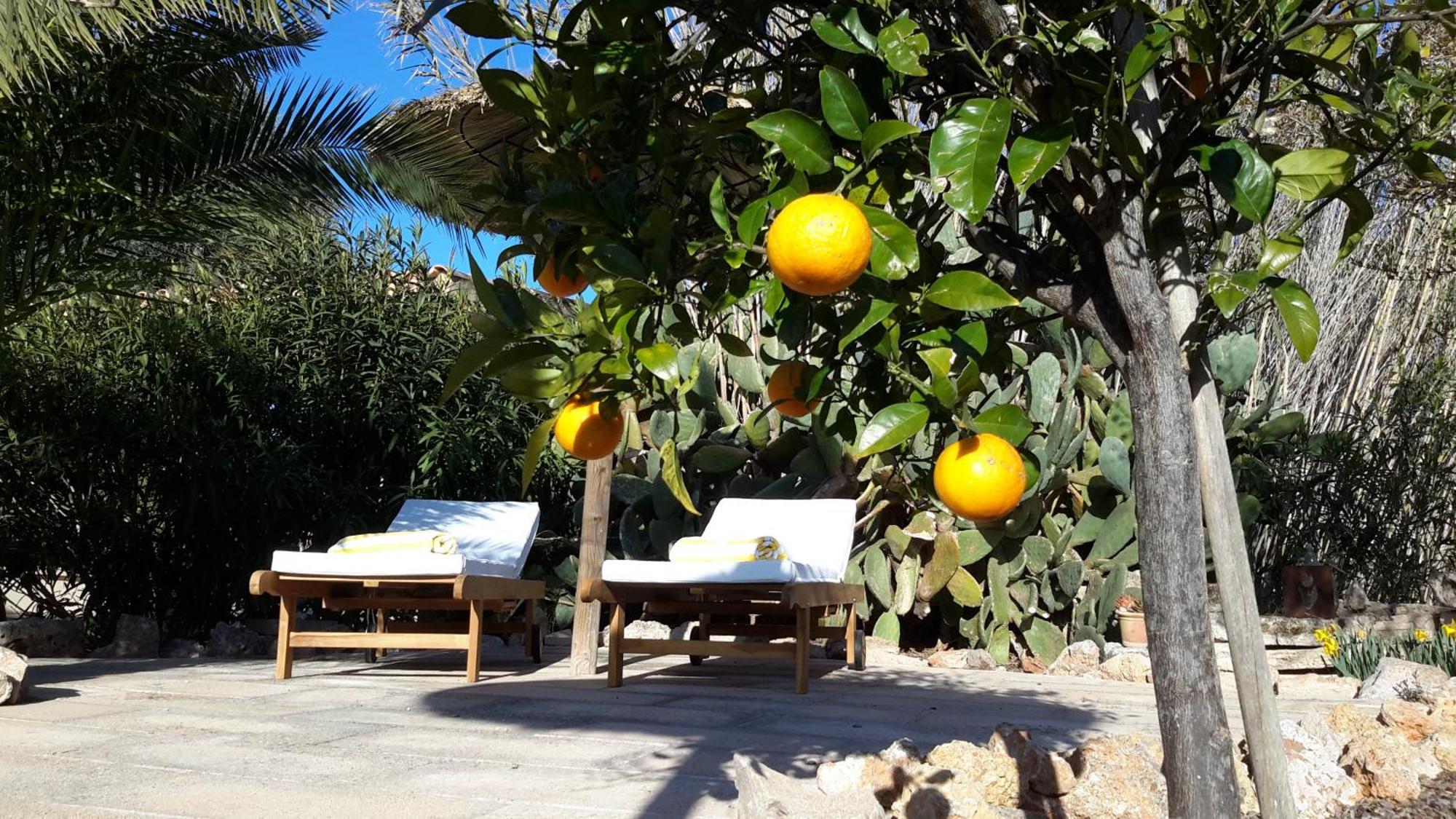 Alqueria Fosca Holiday home